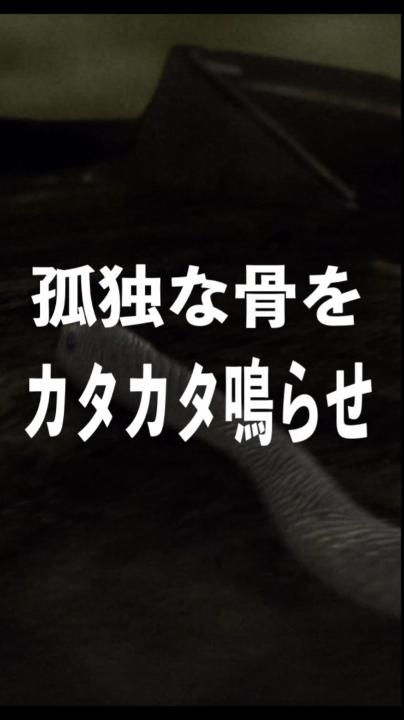 W3_孤独な骨を鳴らせ